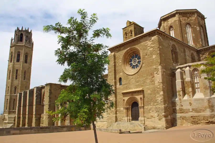 Mudanzas-en-Lleida