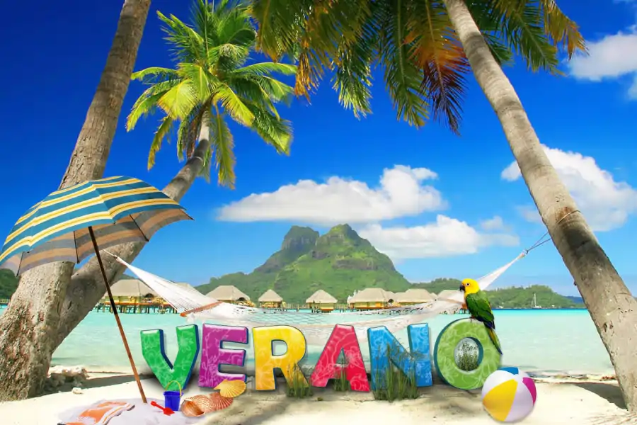 empresas-de-mudanzas-en-Verano